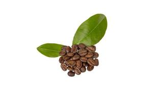 Roasted coffee beans and leaves isolated photo