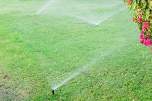 Sprinkler in garden watering the lawn. Automatic watering lawns concept photo