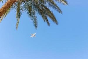 A commercial jet taking off over a palm tree, vacation time copy space photo