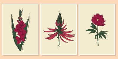 a set of wall art flower leaf and fruit vector