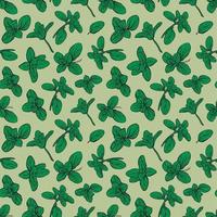 Basil Seamless Pattern. Italian herbs. Marjoram pattern. vector