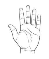 Vector illustration of counting hand. Open palm showing number five in sketch style.