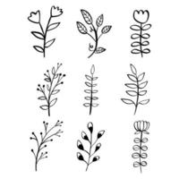 Black line doodle flowers and leaves on white background. Vector illustration about nature.