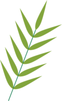 simplicity floral leaf drawing png