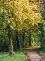 autumn time at a river in germany photo