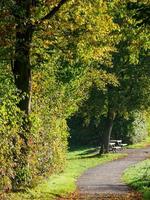 autumn time at a river in germany photo