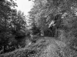 autumn time at a river in germany photo