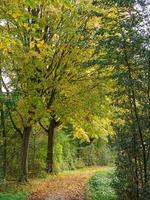 tiempo de otoño en un río en Alemania foto