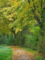 tiempo de otoño en un río en Alemania foto