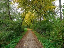 autumn time at a river in germany photo