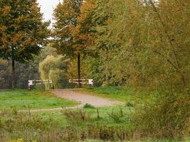 autumn time at a river in germany photo