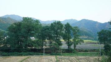 The beautiful traditional Chinese village view with the classical architecture and fresh green trees as background photo