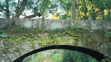 The old arched stone bridge view located in the countryside of the China photo