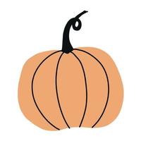 calabaza. dibujado a mano ilustración vectorial simple vector