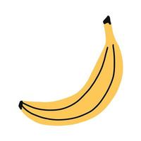 Yellow banana. Hand drawn simple vector illustration