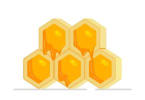 Juicy honeycomb with fresh honey. Vector illustration of brightly colored honey texture. Useful and delicious. Isolated on a white background.