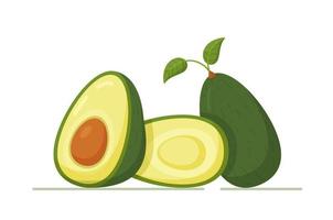 Green avocado with bone and leaves. Vector illustration of avocado whole and halves. Oily fruit on white background.