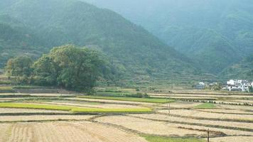 The beautiful traditional Chinese village view with the classical architecture and fresh green trees as background photo