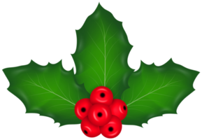 Christmas Mistletoe Transparent png