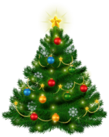 schöner Weihnachtsbaum png