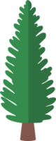 Natale acquerello abete albero png