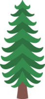 Christmas Watercolor Fir Tree png