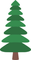 abete rosso albero acquerello png