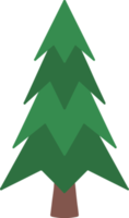 abete rosso albero acquerello png