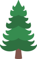 Christmas Watercolor Fir Tree png