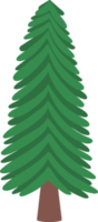 jul vattenfärg gran träd png