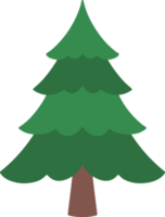 Watercolor Winter Pine Tree png