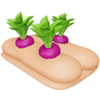 icono isométrico de renderizado 3d de cultivo de nabos. png