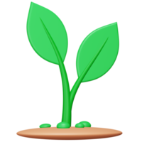 Plant 3d rendering isometric icon. png