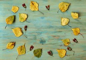 Autumn abstract background from fallen yellow leaves and maple seeds on a blue wooden board. Copy space photo