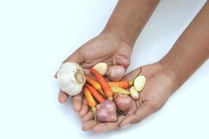 Various kinds of kitchen spices, chilies, onions and garlic are in hand photo