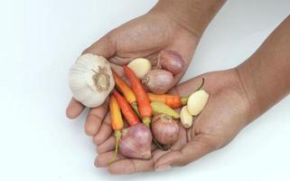 kitchen spices, chilies, onions and garlic are in hand photo
