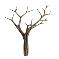 big tree, dry state, 3d design png