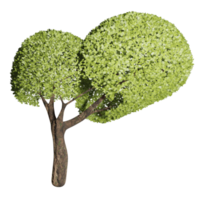 großer Baum, fruchtbarer Zustand, 3D-Design png