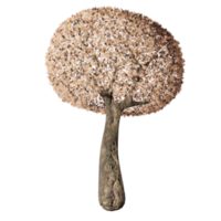 grand arbre, état fertile, conception 3d png