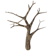 big tree, dry state, 3d design png