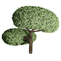 árbol grande, estado fértil, diseño 3d png