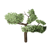 grande albero nel autunno, 3d design png