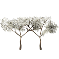 diseño 3d, arbusto blanco, otoño