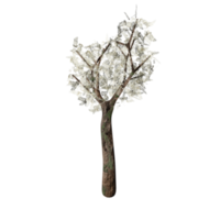 diseño 3d, arbusto blanco, estado primaveral png