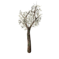 3d design, white bush, spring state png