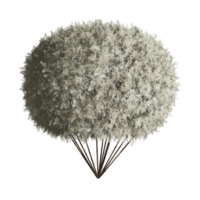 3d design, white bush, fertile state png