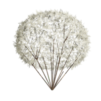 diseño 3d, arbusto blanco, estado primaveral