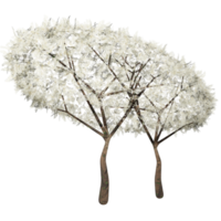 conception 3d, buisson blanc, état de printemps png