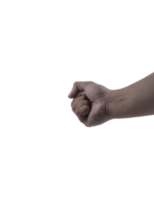 fist symbol. hand fist png