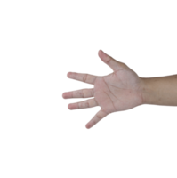 five finger symbol png